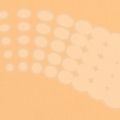 vzor-6