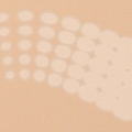vzor-8