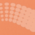 vzor-7