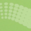 vzor-2