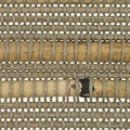 vzor-11