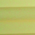 CAPRI I 1040