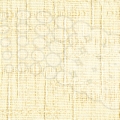 vzor-2