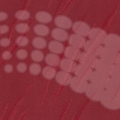 vzor-13