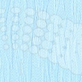 vzor-11