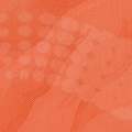 vzor-9