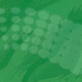 vzor-20